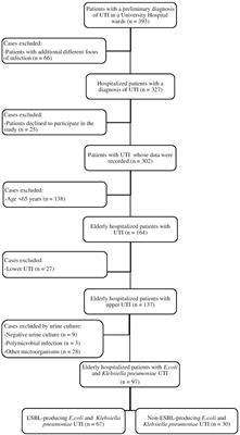 Urinary tract infections in older adults: associated factors for extended-spectrum beta-lactamase production